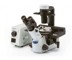 奧林巴斯CKX53倒置顯微鏡
